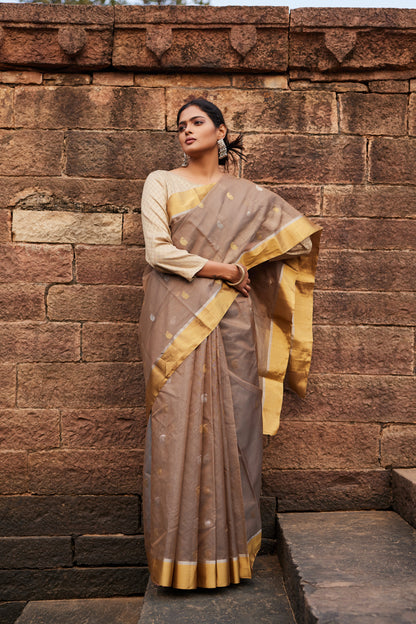 Aamprapali Cotton Silk Chanderi Saree
