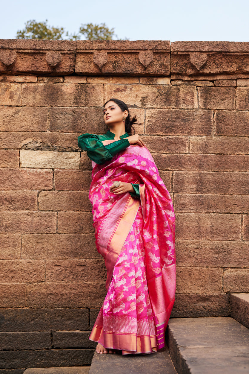 Gulabi Morni Pattu Silk Chanderi Saree