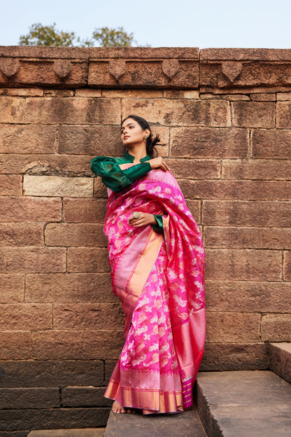 Gulabi Morni Pattu Silk Chanderi Saree