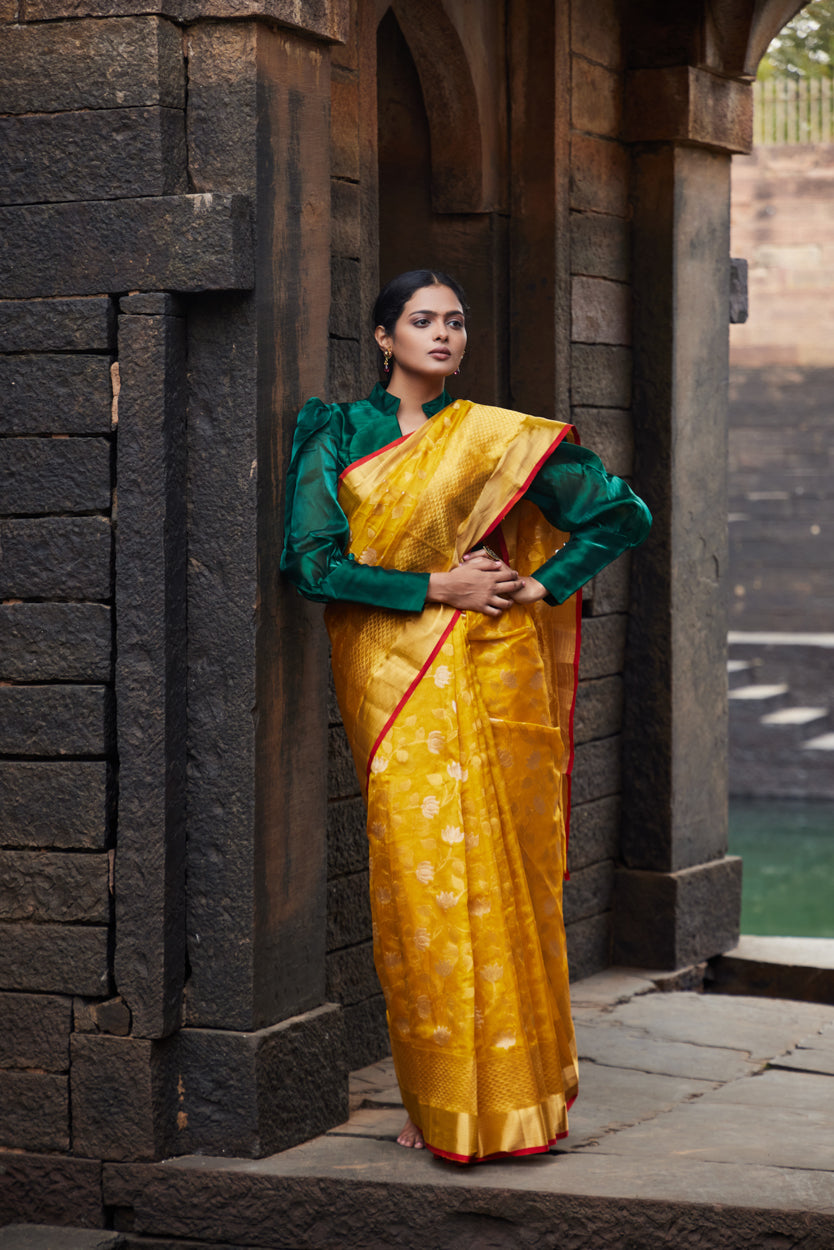 Zareen Noor Pattu Silk Chanderi Saree
