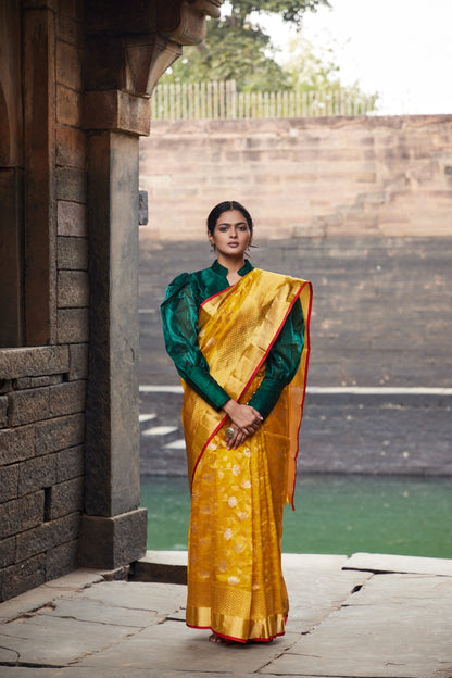 Zareen Noor Pattu Silk Chanderi Saree