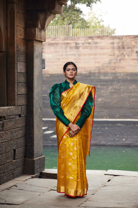 Zareen Noor Pattu Silk Chanderi Saree