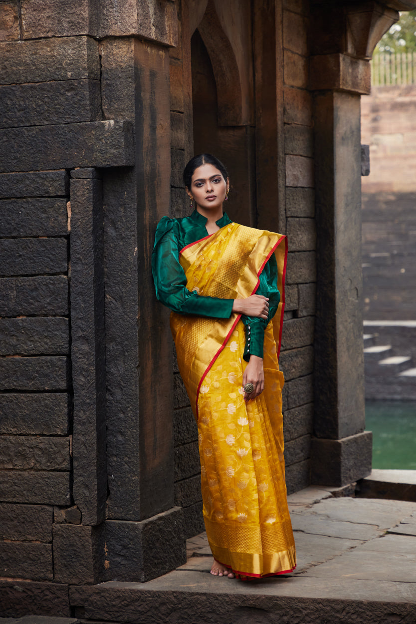 Zareen Noor Pattu Silk Chanderi Saree