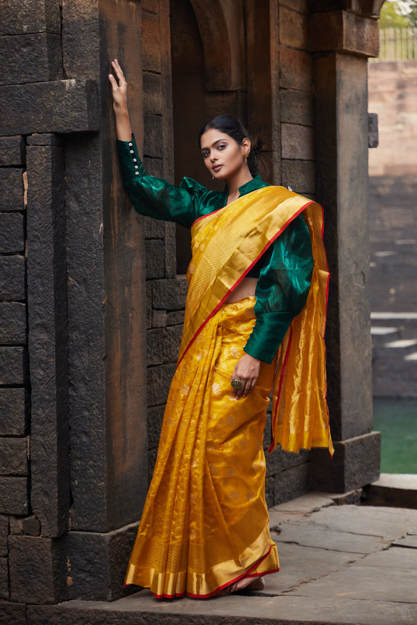 Zareen Noor Pattu Silk Chanderi Saree