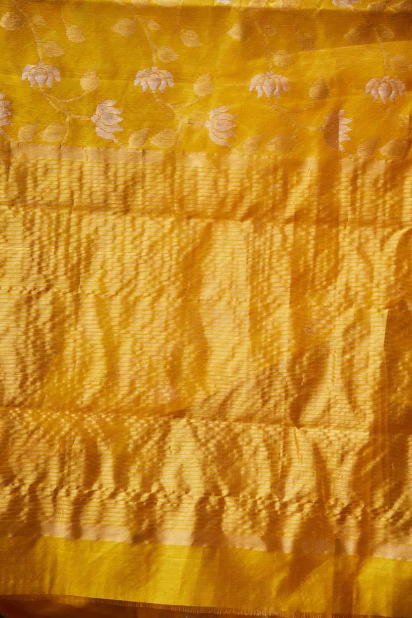 Zareen Noor Pattu Silk Chanderi Saree