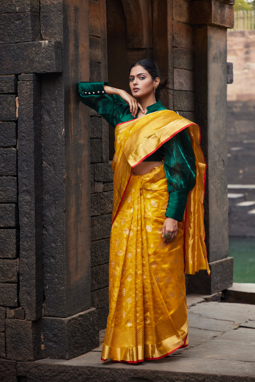 Zareen Noor Pattu Silk Chanderi Saree