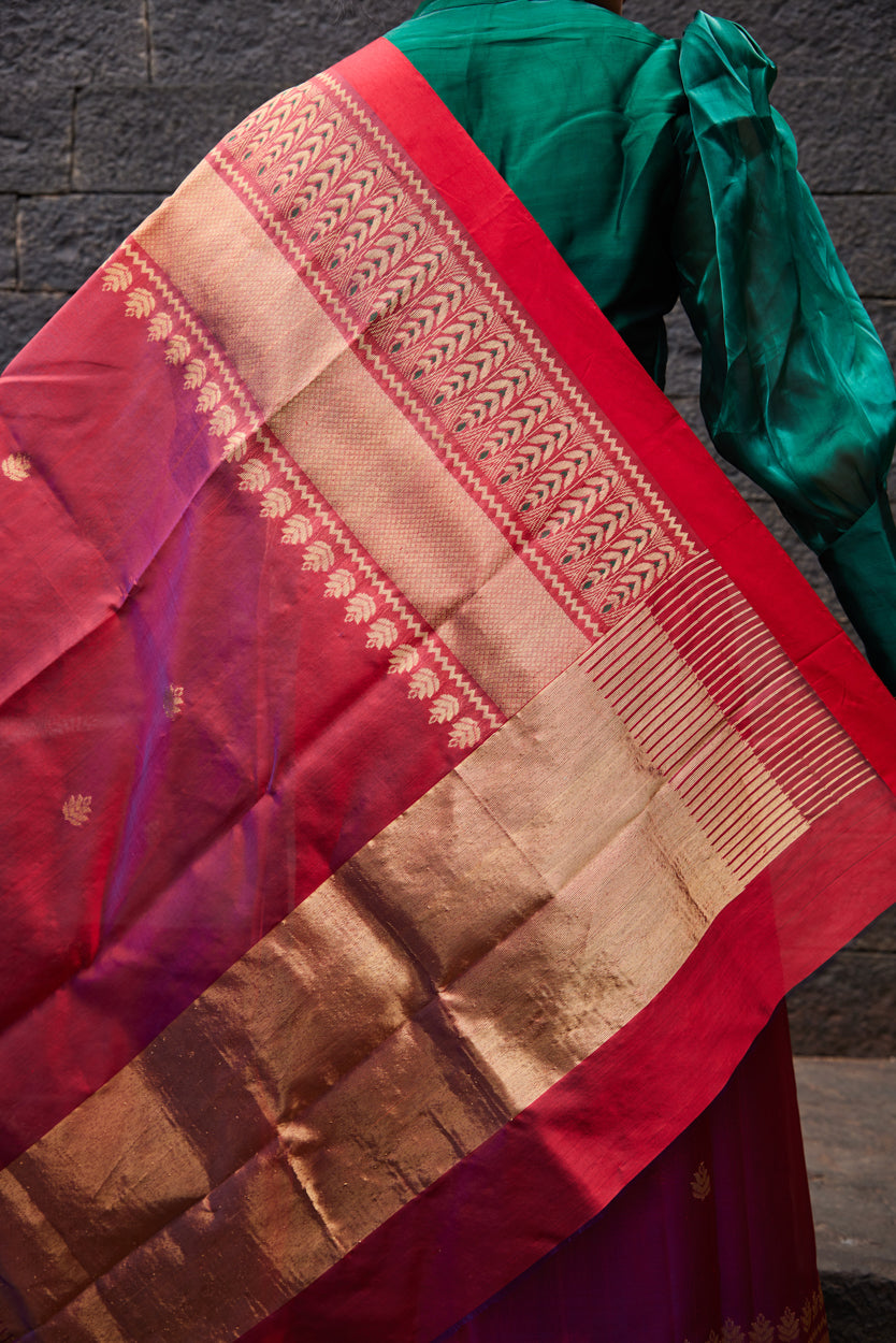Mahroomi Pattu Silk Chanderi Saree