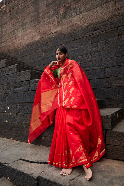 Surkh Parindey Pattu Silk Chanderi Saree
