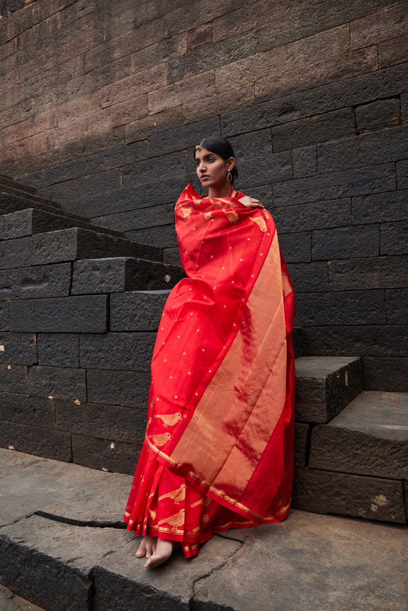 Surkh Parindey Pattu Silk Chanderi Saree