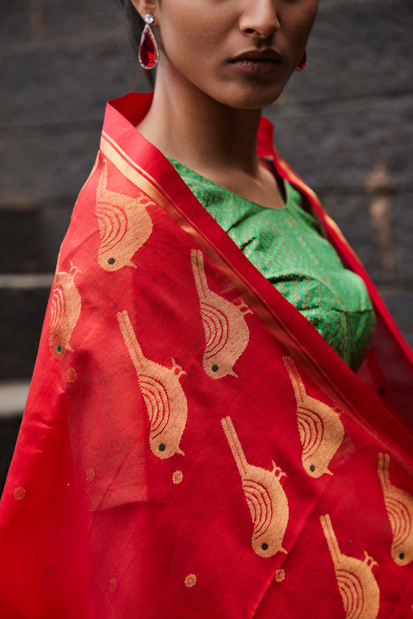 Surkh Parindey Pattu Silk Chanderi Saree