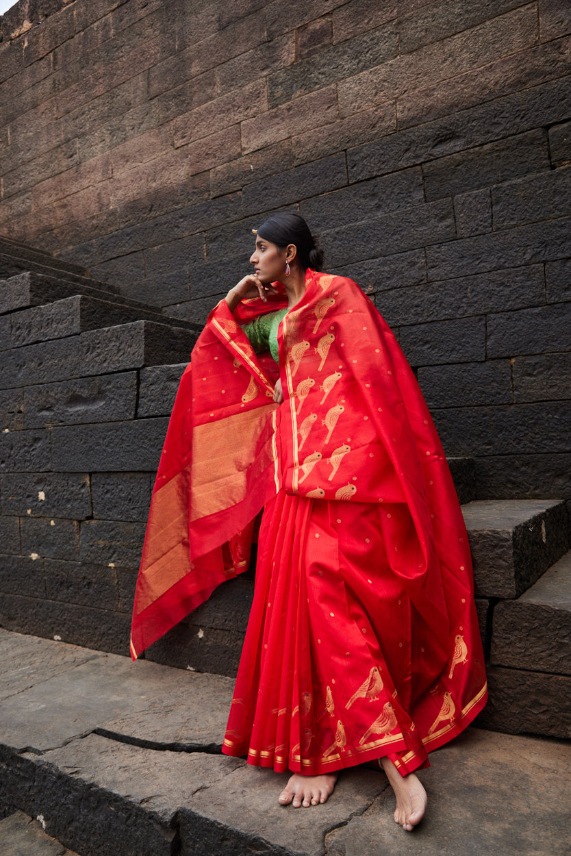 Surkh Parindey Pattu Silk Chanderi Saree