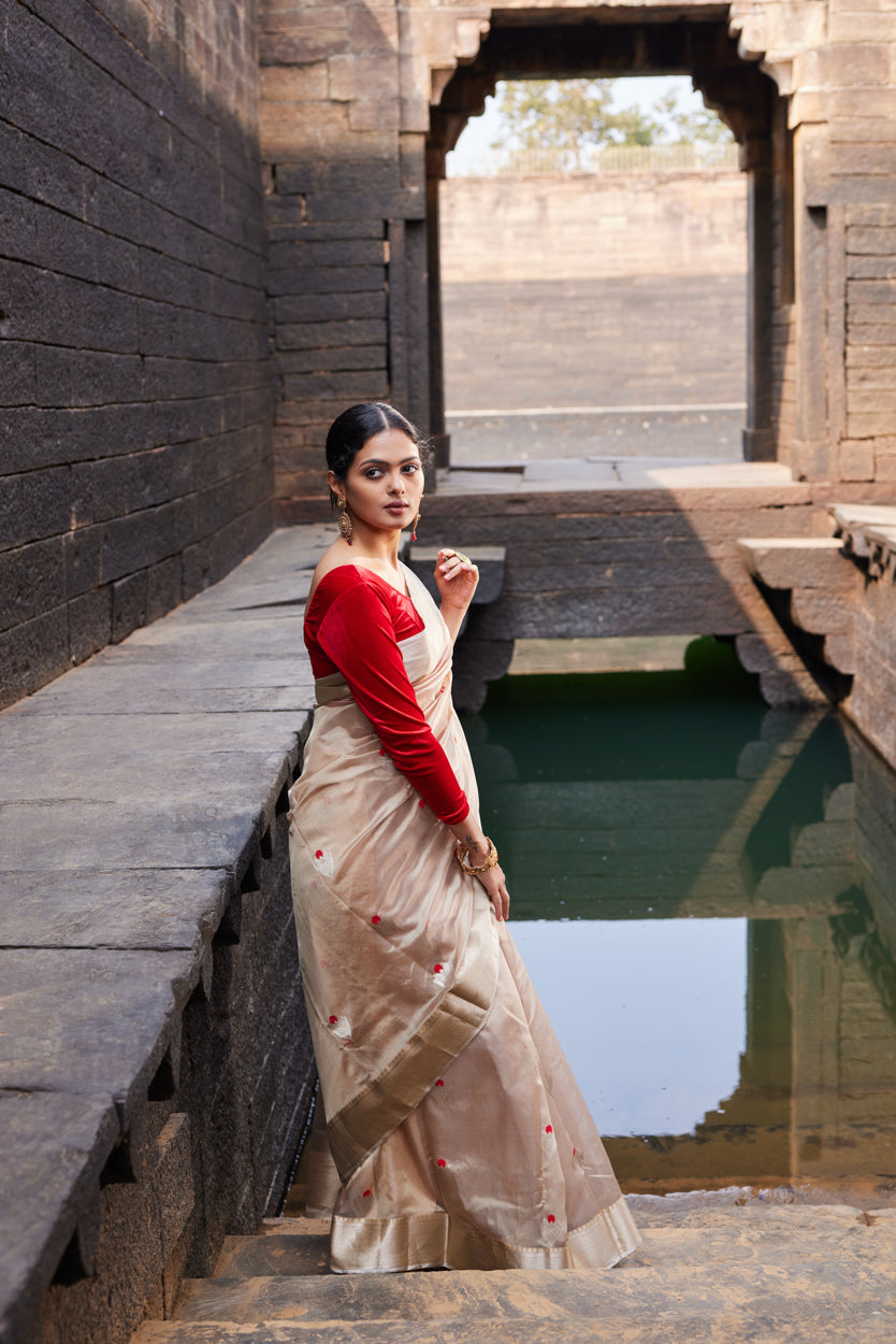 Noorani Adaa Pattu Silk Chanderi Saree