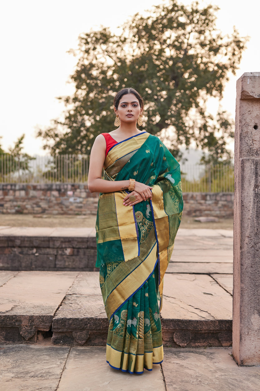 Surmayi Noor Pattu Silk Chanderi Saree