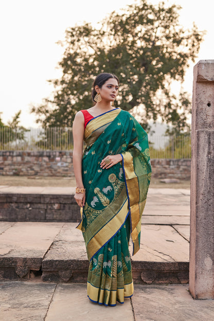 Surmayi Noor Pattu Silk Chanderi Saree