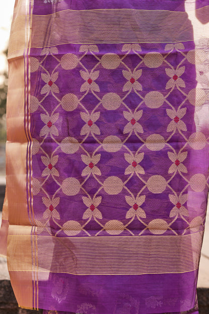 Shaam Shabnami Pattu Silk Chanderi Saree