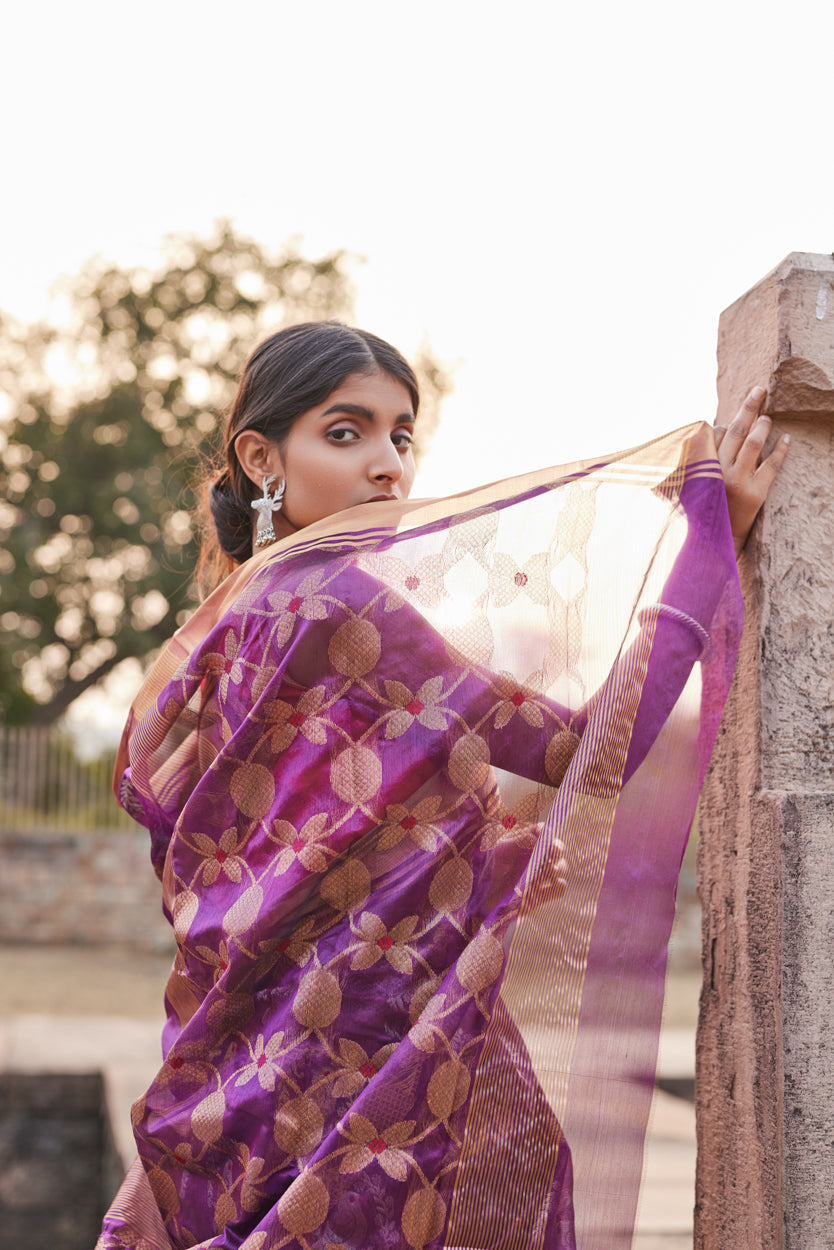 Shaam Shabnami Pattu Silk Chanderi Saree