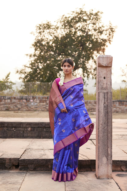 Neelani Shab Pattu Silk Chanderi Saree