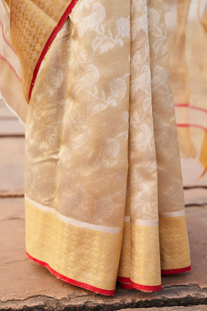 Gulbadan Shaam Pattu Silk Chanderi Saree