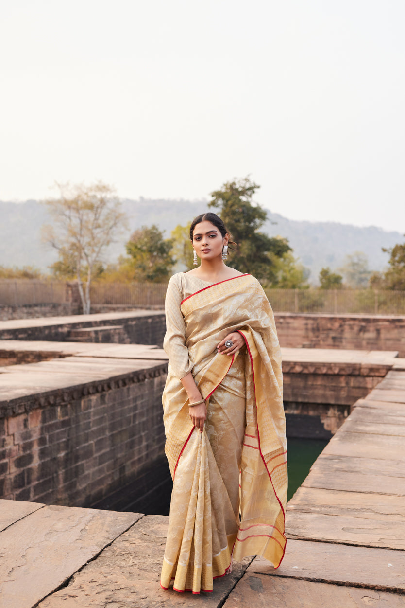 Gulbadan Shaam Pattu Silk Chanderi Saree