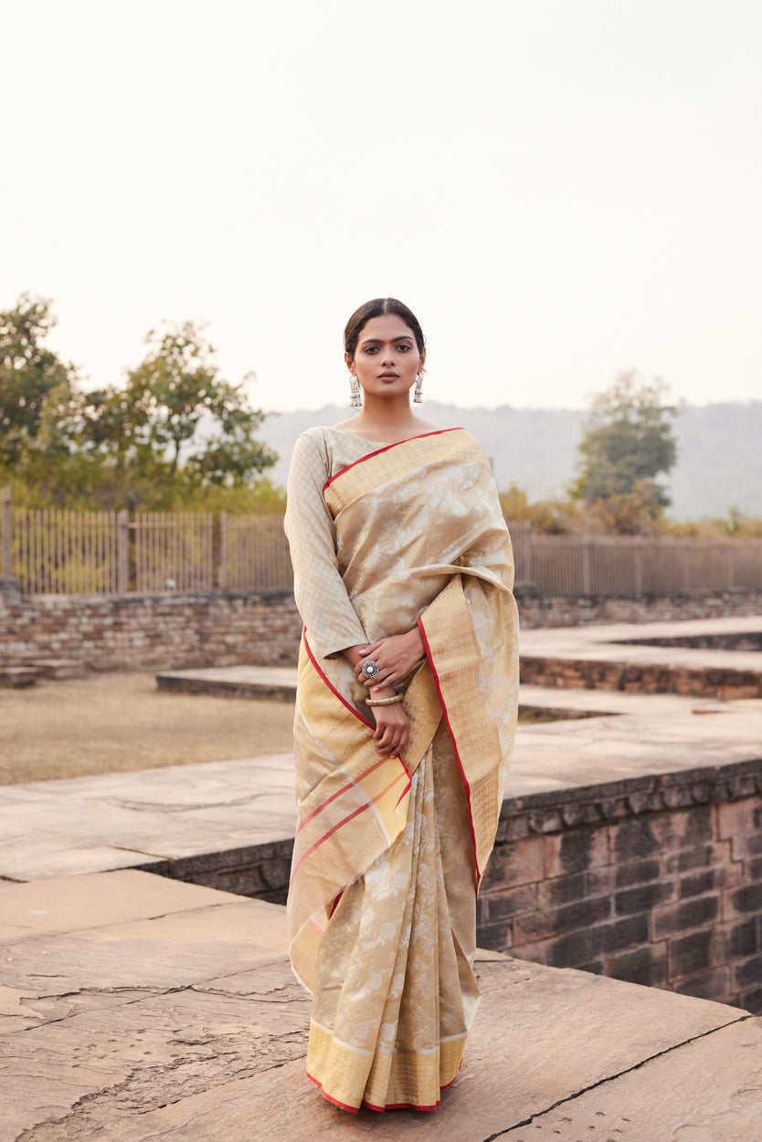 Gulbadan Shaam Pattu Silk Chanderi Saree