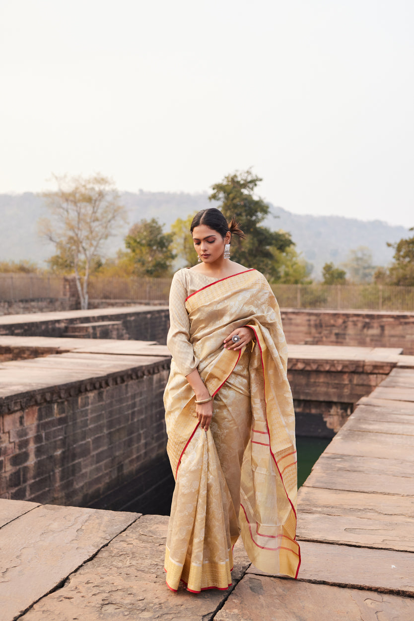 Gulbadan Shaam Pattu Silk Chanderi Saree