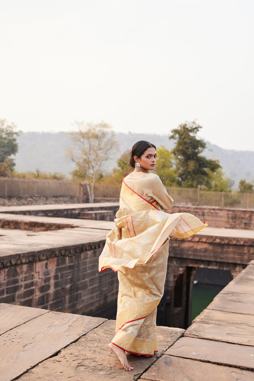 Gulbadan Shaam Pattu Silk Chanderi Saree
