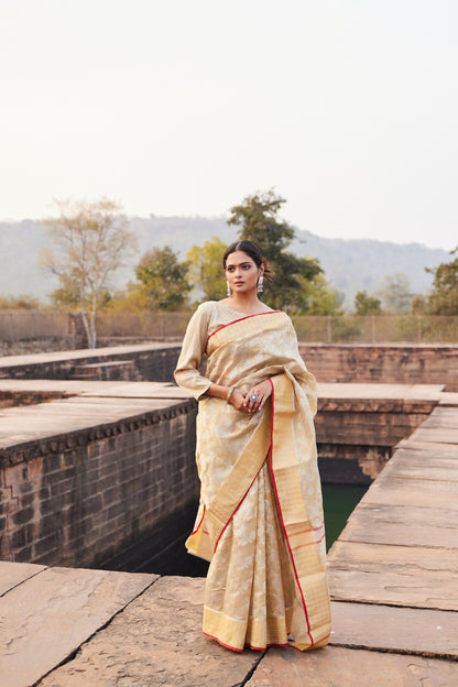 Gulbadan Shaam Pattu Silk Chanderi Saree
