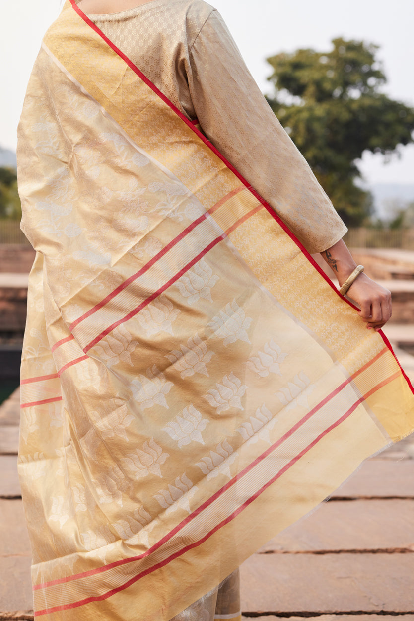 Gulbadan Shaam Pattu Silk Chanderi Saree