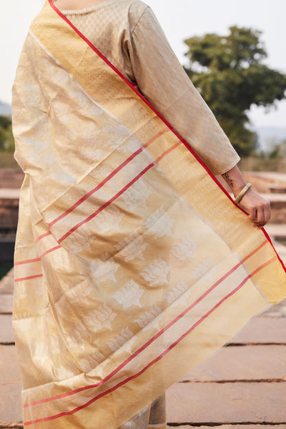 Gulbadan Shaam Pattu Silk Chanderi Saree
