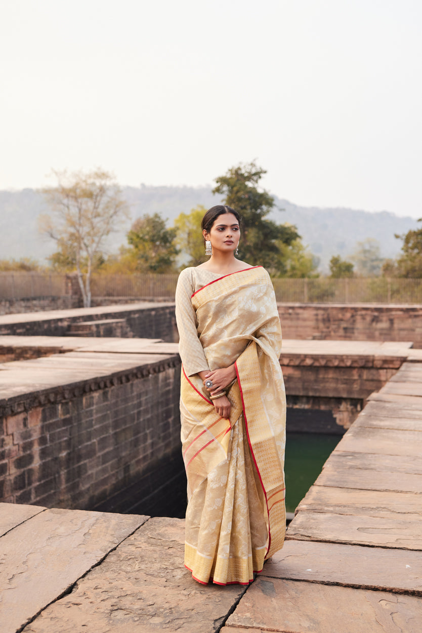 Sunehri Shaam Pattu Silk Chanderi Saree
