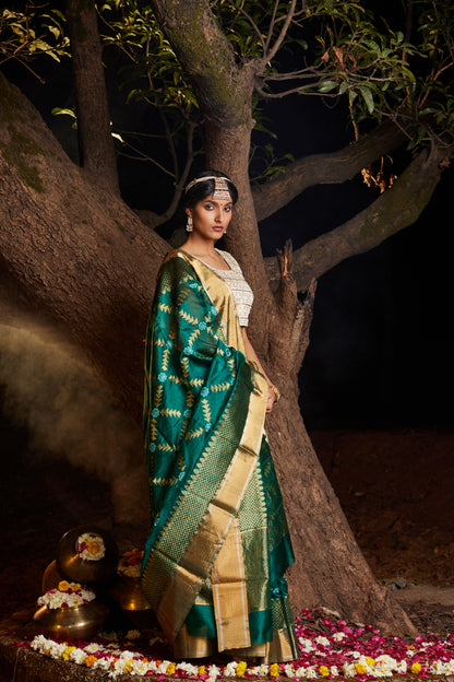 Mastani Saba Meena Kari Pure Silk Chanderi Saree