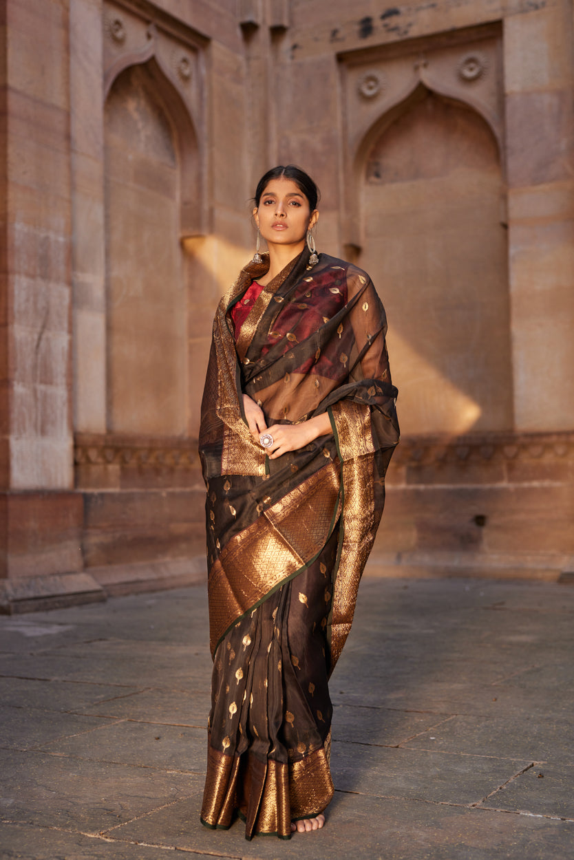 Siyahi Parwana Silk Chanderi Saree