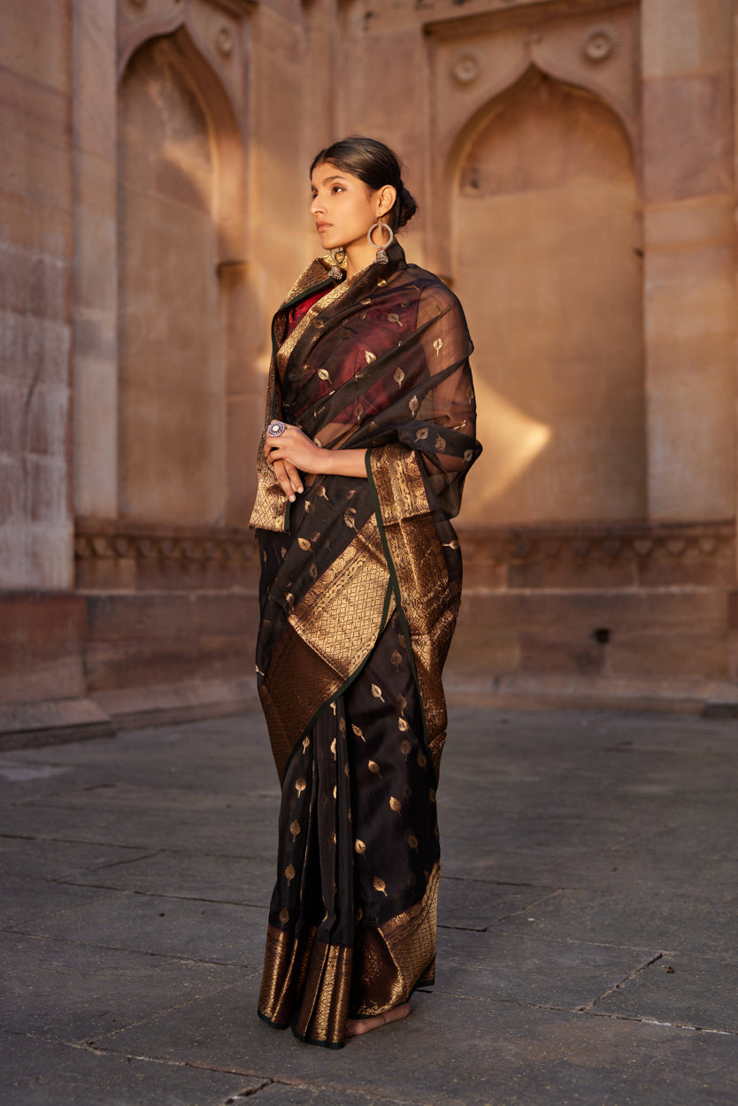 Siyahi Parwana Silk Chanderi Saree