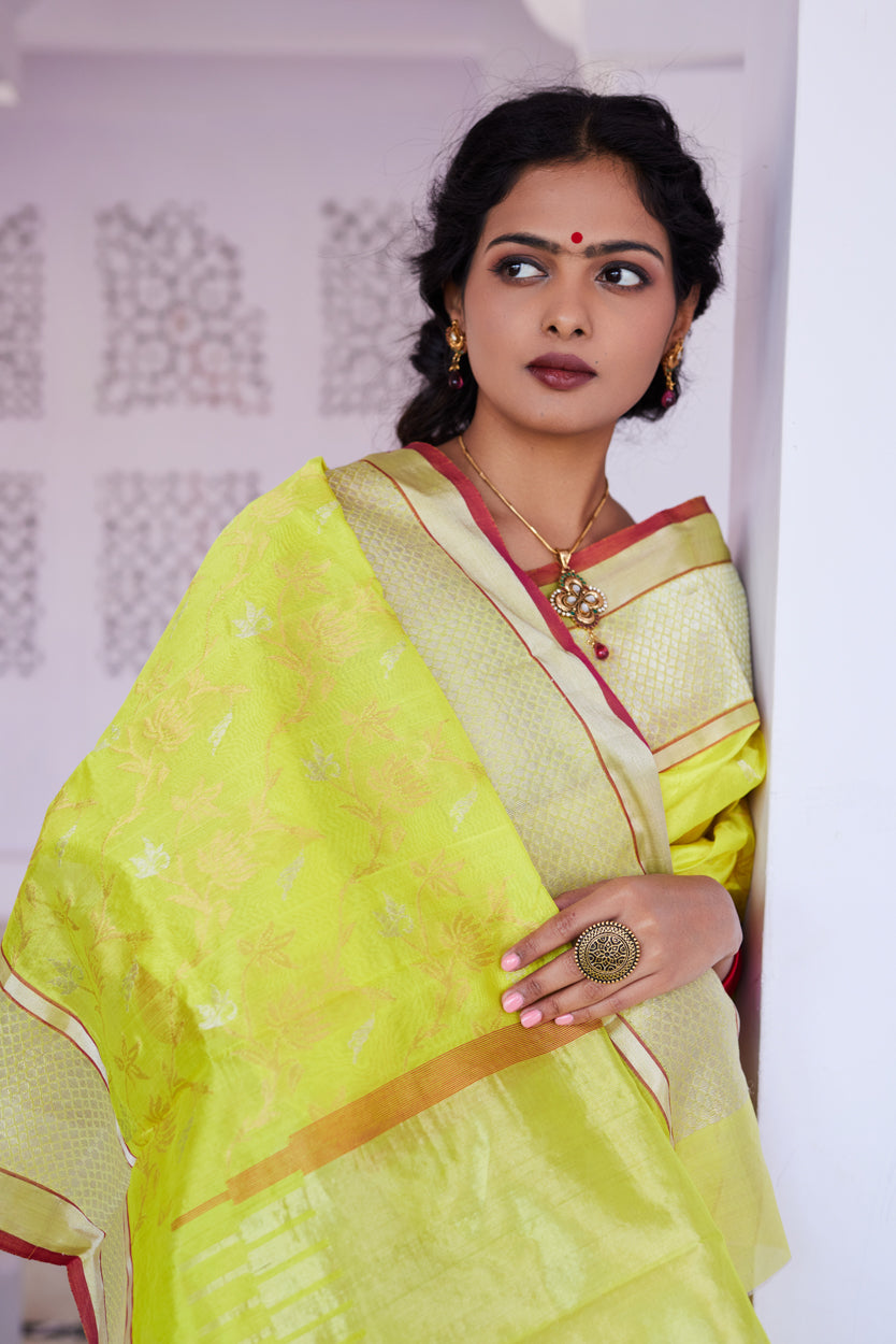Surajmukhi Jaal Pattu Silk Chanderi Saree