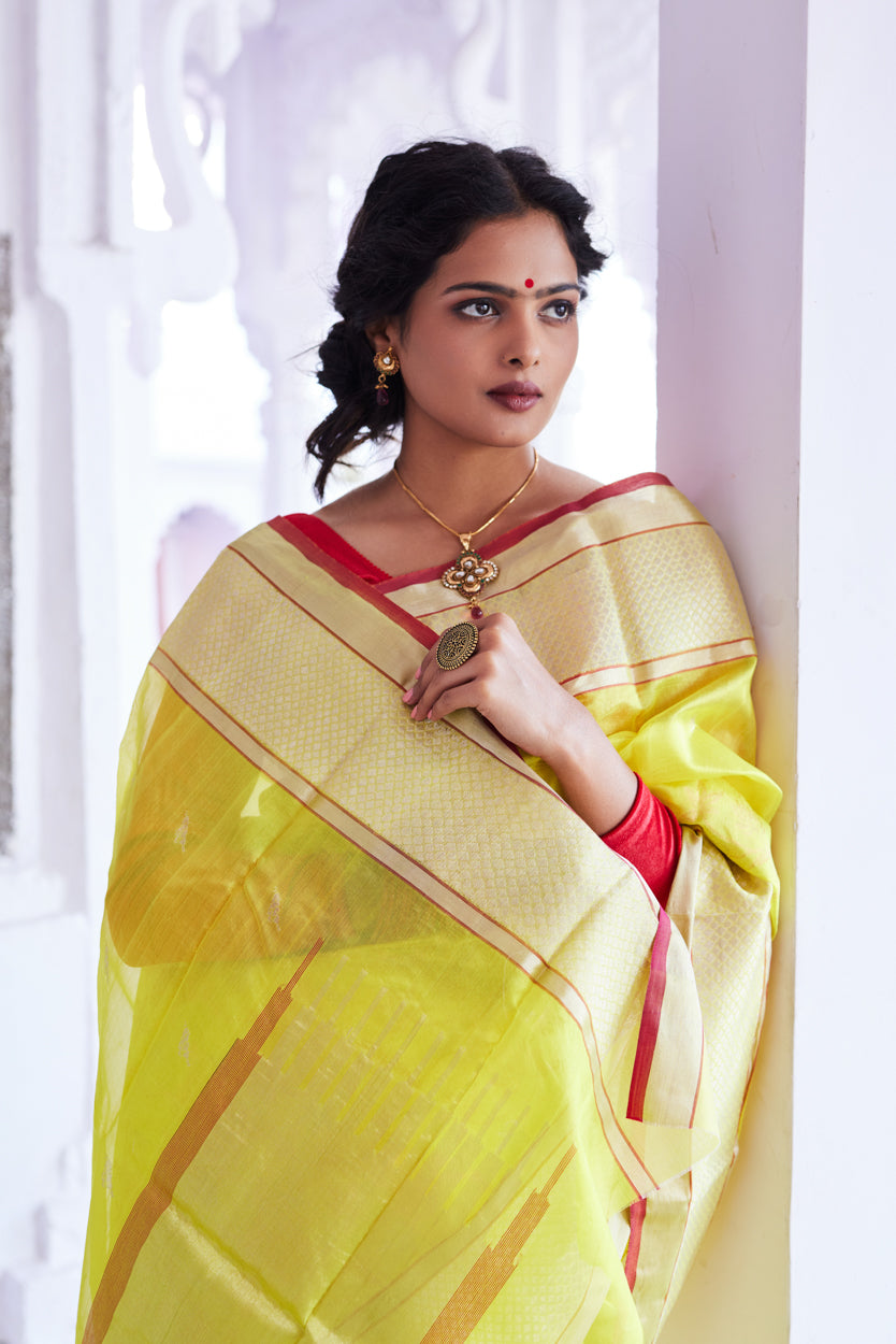 Surajmukhi Jaal Pattu Silk Chanderi Saree