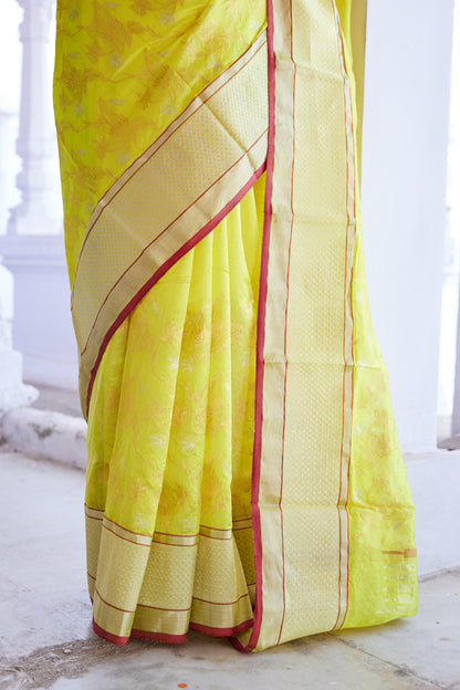 Surajmukhi Jaal Pattu Silk Chanderi Saree