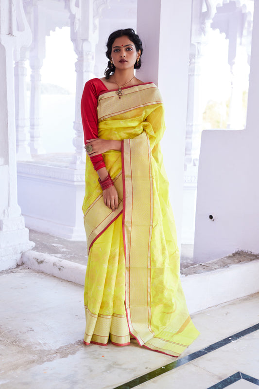 Surajmukhi Jaal Pattu Silk Chanderi Saree