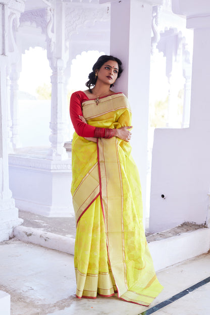 Surajmukhi Jaal Pattu Silk Chanderi Saree