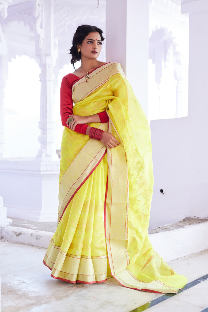 Surajmukhi Jaal Pattu Silk Chanderi Saree