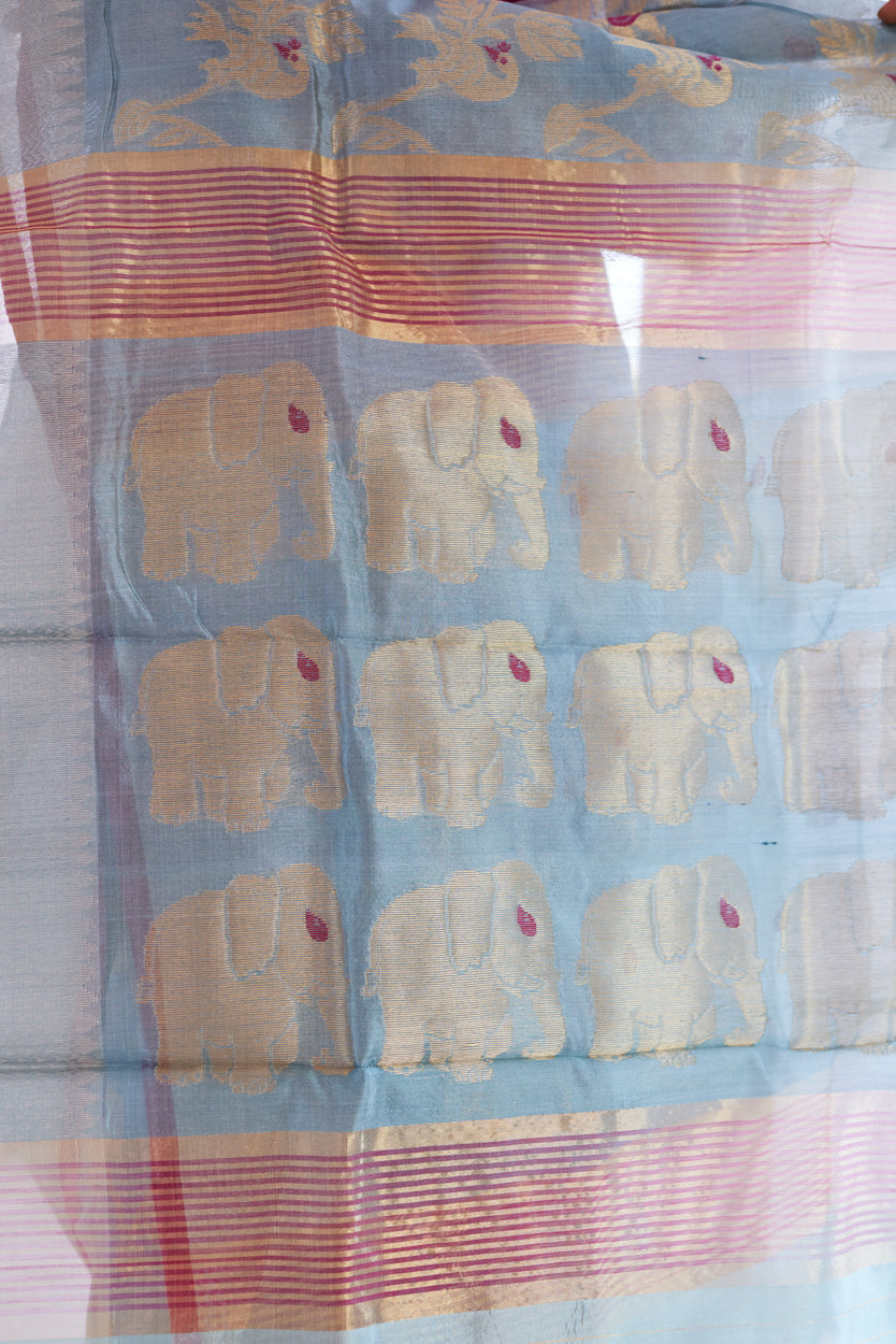 Kohi Noor Pattu Silk Chanderi Saree