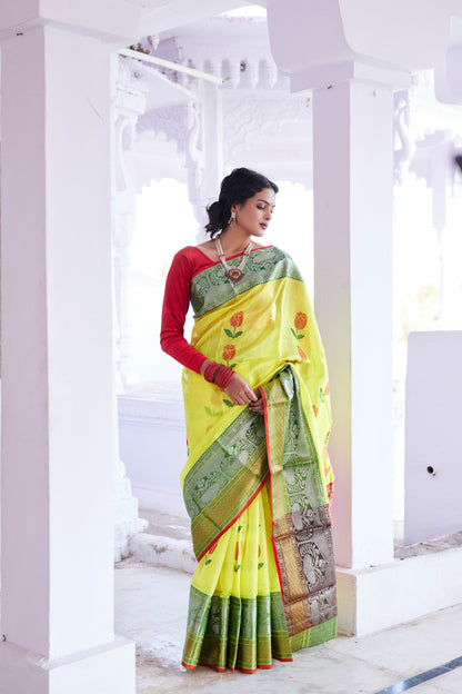 Sanidhya Pattu Silk Chanderi Saree