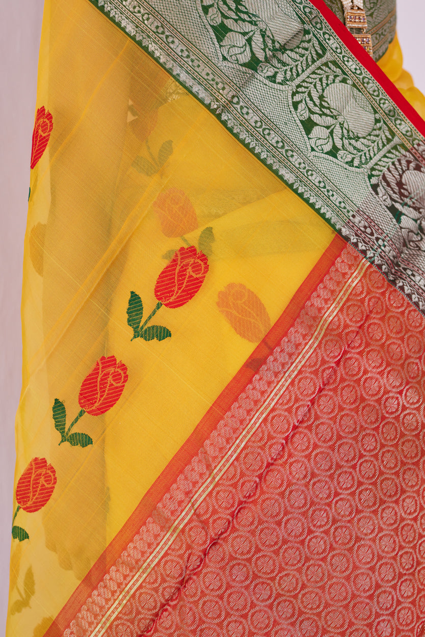 Surmayi Pattu Silk Chanderi Saree