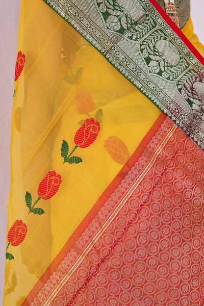 Surmayi Pattu Silk Chanderi Saree