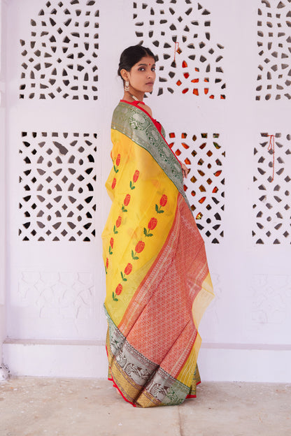 Surmayi Pattu Silk Chanderi Saree
