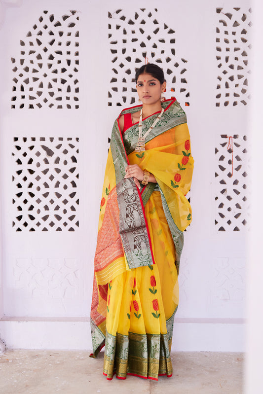 Surmayi Pattu Silk Chanderi Saree