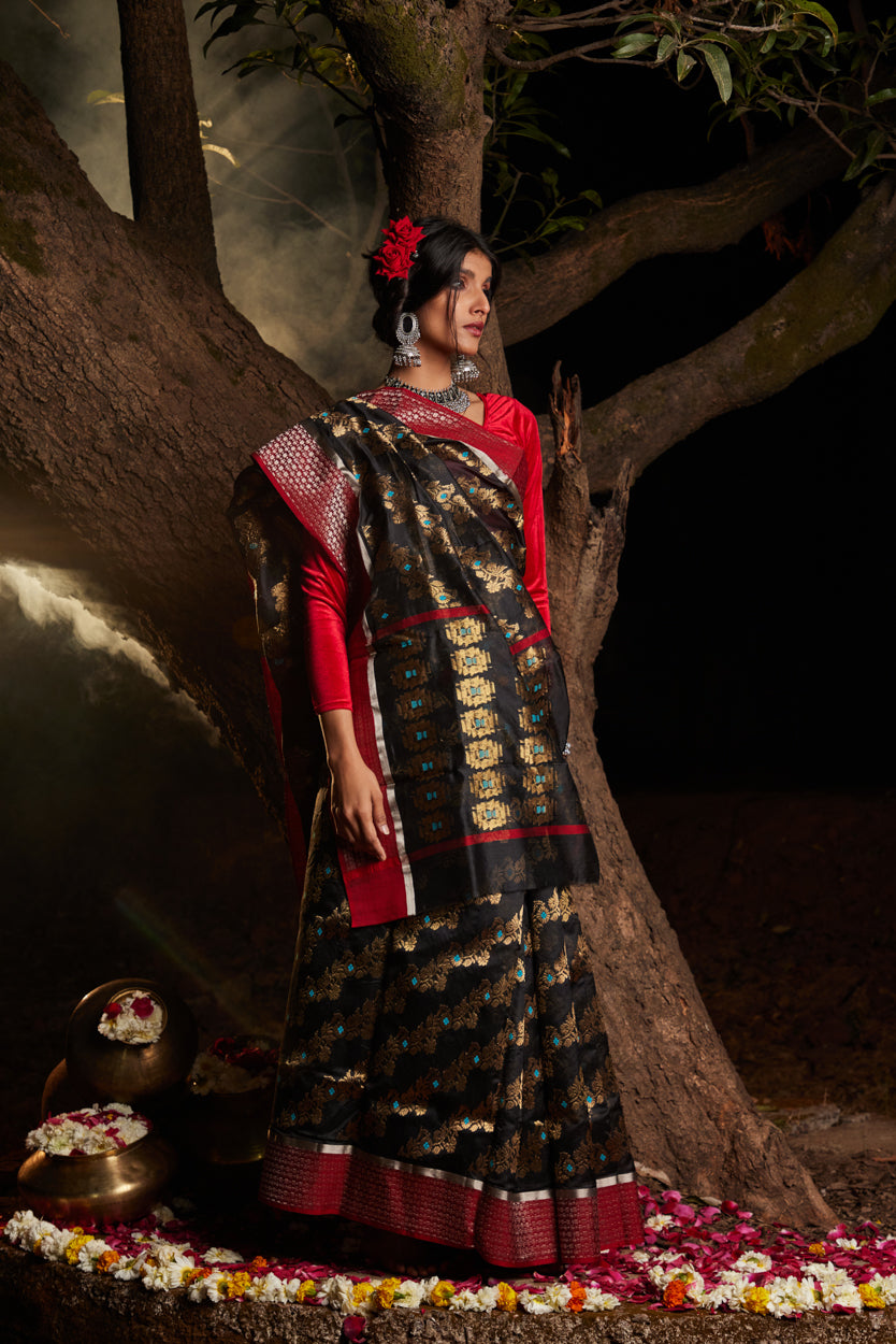 Siyah Noor Meenakari Jaal Pure Silk Chanderi Saree