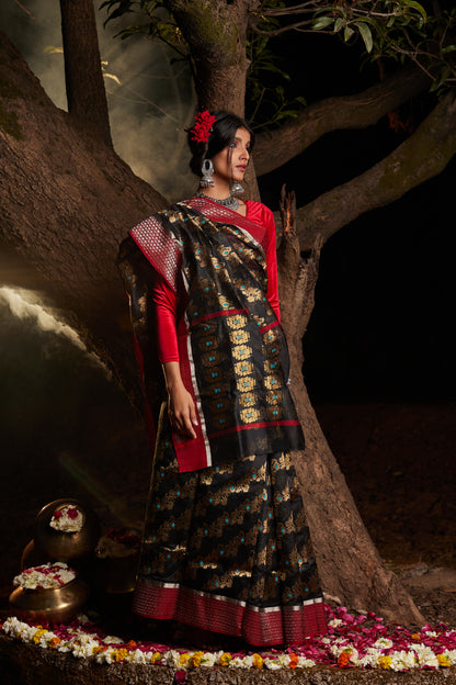 Siyah Noor Meenakari Jaal Pure Silk Chanderi Saree